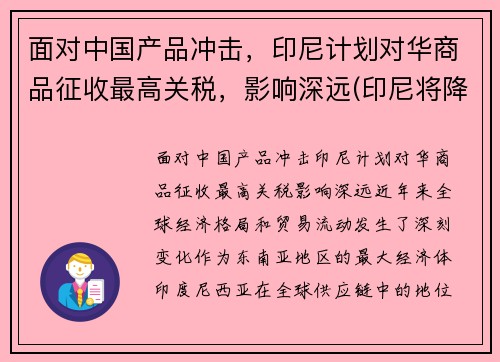 面对中国产品冲击，印尼计划对华商品征收最高关税，影响深远(印尼将降低进口关税)