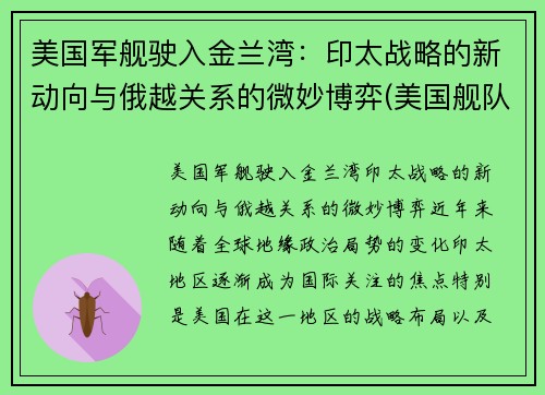 美国军舰驶入金兰湾：印太战略的新动向与俄越关系的微妙博弈(美国舰队进入印度)